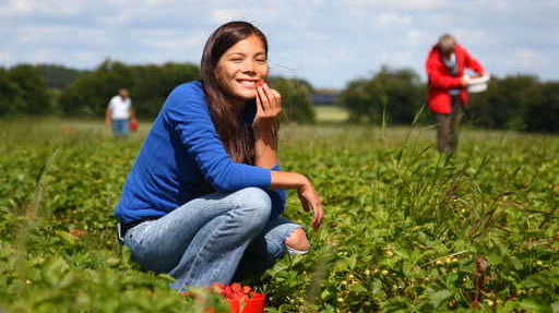 Why Your Body Loves It When You Eat Locally