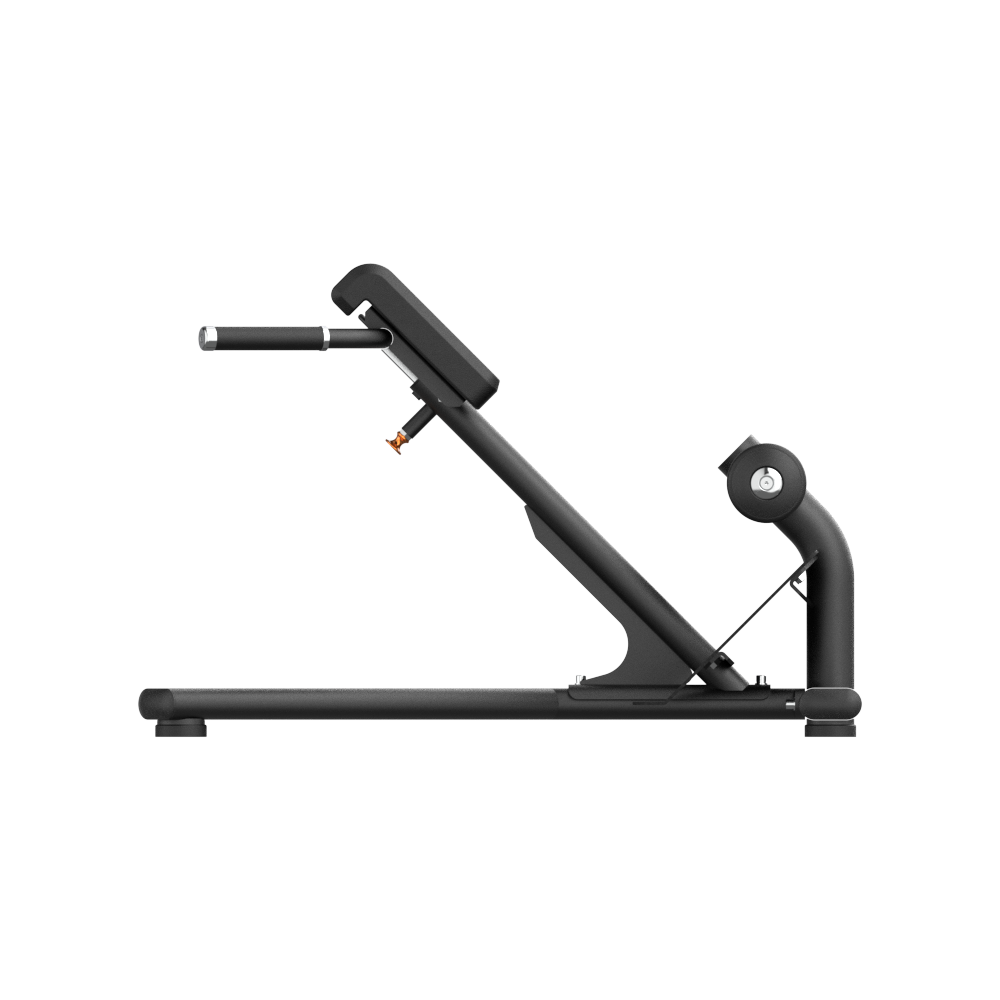 VO3 Commercial Back Extension Bench Roman Chair - Rear View