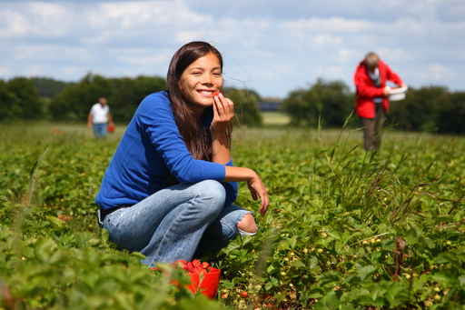 Why Your Body Loves It When You Eat Locally